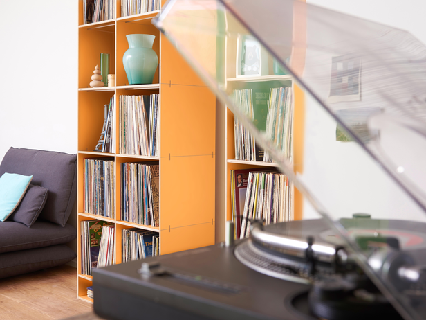 LP-Aufbewahrung. Modular, erweiterbar, umbaubar. rio-Regalsystem mit höchsten Qualitätsansprüchen